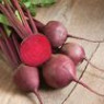 Beet seeds Beet seeds
