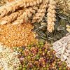 Herb seeds