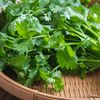 Vegetable Seeds