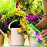 Flower fertilizers Flower fertilizers
