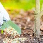 Fertilizers
