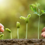 Fertilizers