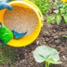 Vegetable fertilizers Vegetable fertilizers