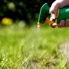 Pesticides