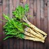 Vegetable Seeds