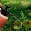 Pesticides