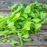 Leaf celery seeds Leaf celery seeds