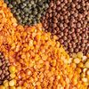 Vegetable Seeds