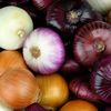 Vegetable Seeds