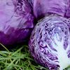 Vegetable Seeds