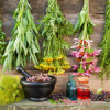 Herb seeds