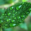 Pesticides