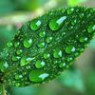 Surfactants Surfactants