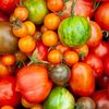 Vegetable Seeds