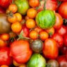Tomato seeds