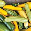 Vegetable Seeds