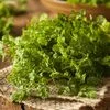 Vegetable Seeds