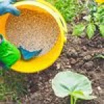 Fertilizers