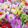 Flower seeds